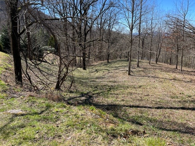Lot 6 High Meadows Hayesville, NC 28904 - Photo 16 of 27 a view of a yard with trees