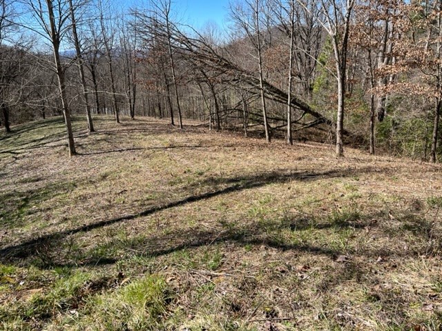 Lot 6 High Meadows Hayesville, NC 28904 - Photo 17 of 27 a backyard of a house with a trees