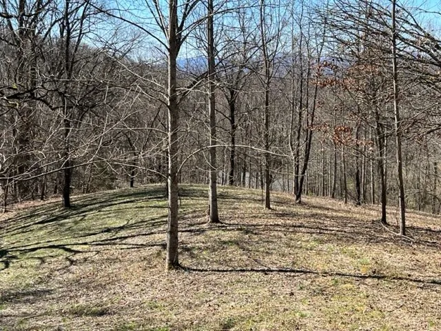 $49,000 | Lot 6 High Meadows, Hayesville, NC 28904