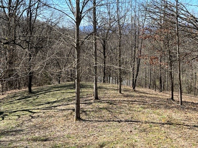 Lot 6 High Meadows Hayesville, NC 28904 - Photo 18 of 27 a view of park