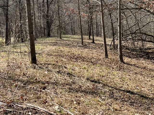 Lot 6 High Meadows Hayesville, NC 28904 - Photo 19 of 27 a view of a yard with trees