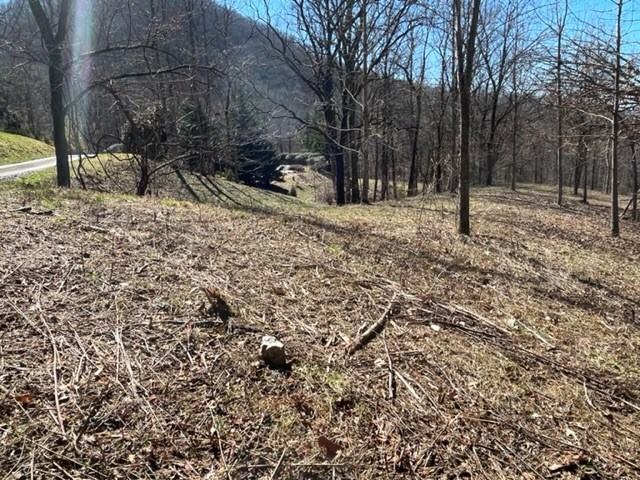 Lot 6 High Meadows Hayesville, NC 28904 - Photo 20 of 27 a view of outdoor space with trees