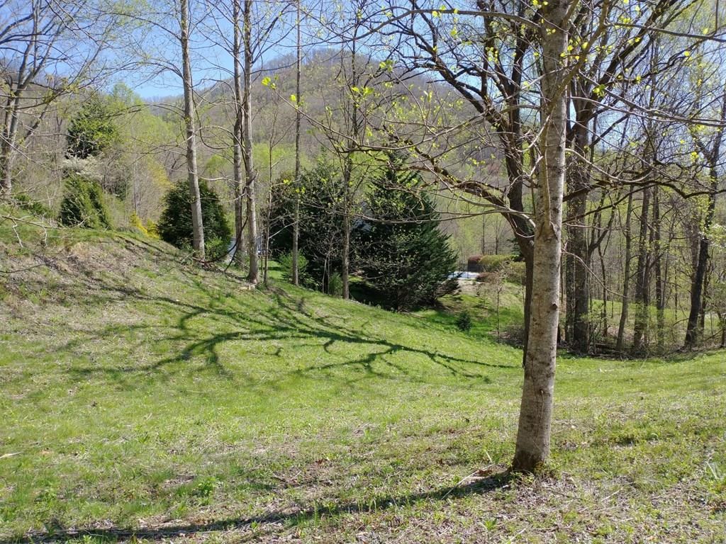 Lot 6 High Meadows Hayesville, NC 28904 - Photo 2 of 27 a view of a yard with a tree