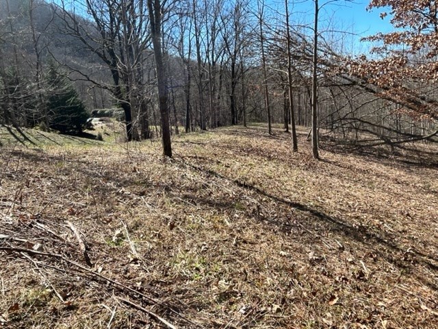 Lot 6 High Meadows Hayesville, NC 28904 - Photo 21 of 27 a view of outdoor space with trees