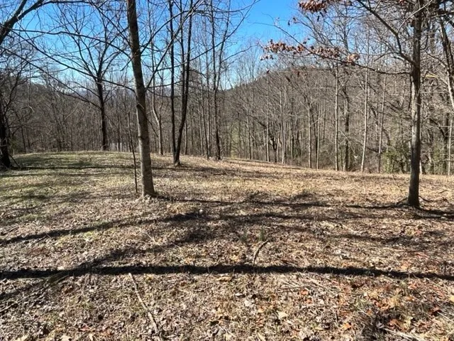 $49,000 | Lot 6 High Meadows, Hayesville, NC 28904