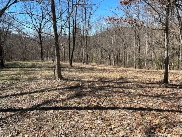 Lot 6 High Meadows Hayesville, NC 28904 - Photo 22 of 27 a view of a yard with a tree