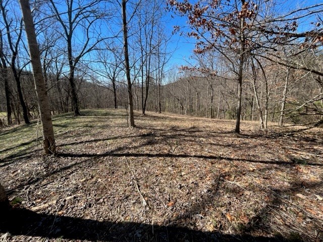 Lot 6 High Meadows Hayesville, NC 28904 - Photo 23 of 27 a view of a backyard of the house