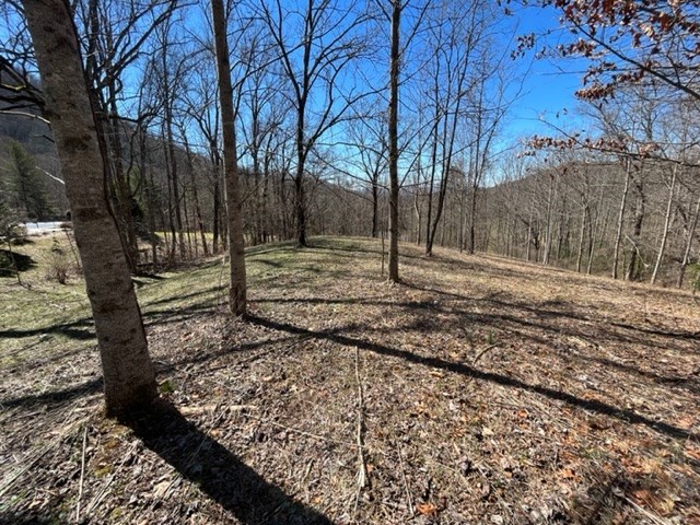 Lot 6 High Meadows Hayesville, NC 28904 - Photo 24 of 27 a backyard of a house with lots of green space