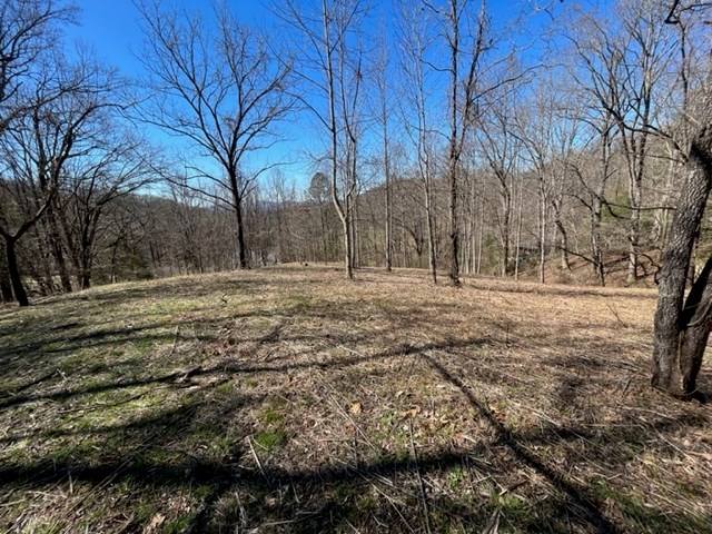 Lot 6 High Meadows Hayesville, NC 28904 - Photo 25 of 27 a backyard of a house with large trees