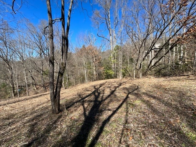 Lot 6 High Meadows Hayesville, NC 28904 - Photo 26 of 27 a view of snow on the road