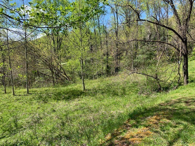 Lot 6 High Meadows Hayesville, NC 28904 - Photo 5 of 27 a view of trees and bushes