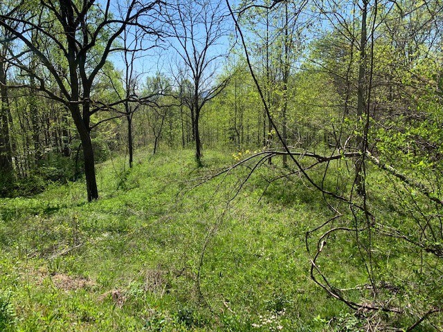 Lot 6 High Meadows Hayesville, NC 28904 - Photo 6 of 27 a view of yard with green space