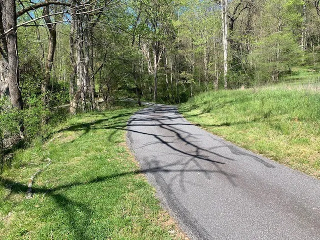 $49,000 | Lot 6 High Meadows, Hayesville, NC 28904