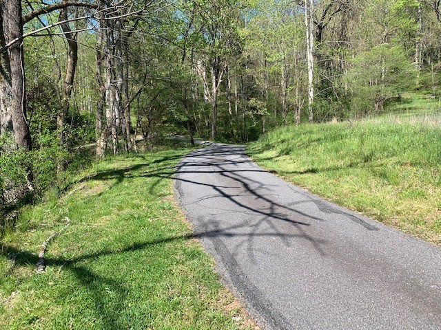 Lot 6 High Meadows Hayesville, NC 28904 - Photo 7 of 27 a view of a yard with plants and large trees