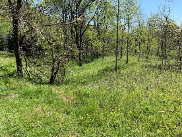 Lot 6 High Meadows Hayesville, NC 28904 - Photo 9 of 27 a view of a green field with lots of bushes