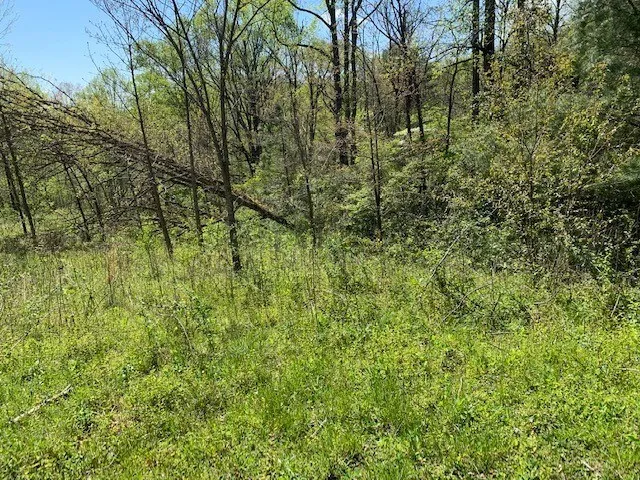 $49,000 | Lot 6 High Meadows, Hayesville, NC 28904