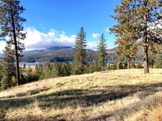 1353 Lake Roosevelt Way Kettle Falls, WA 99141 - Photo 5 of 19