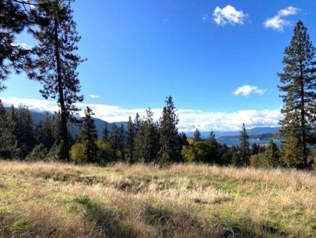 1353 Lake Roosevelt Way Kettle Falls, WA 99141 - Photo 6 of 19