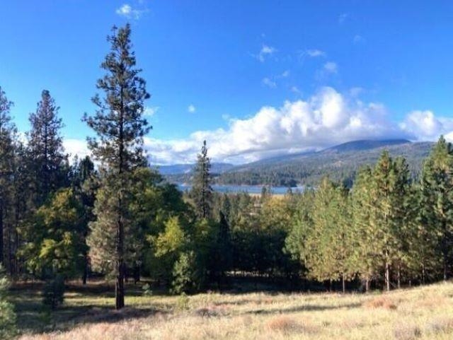 1353 Lake Roosevelt Way Kettle Falls, WA 99141 - Photo 7 of 19