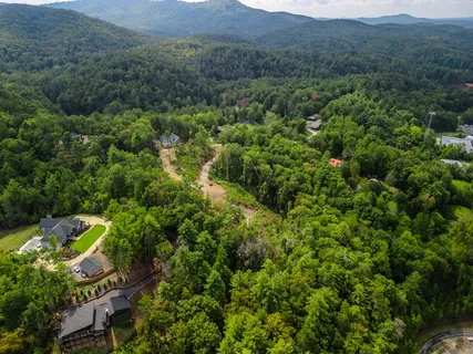 a view of a lush green forest with trees and some houses