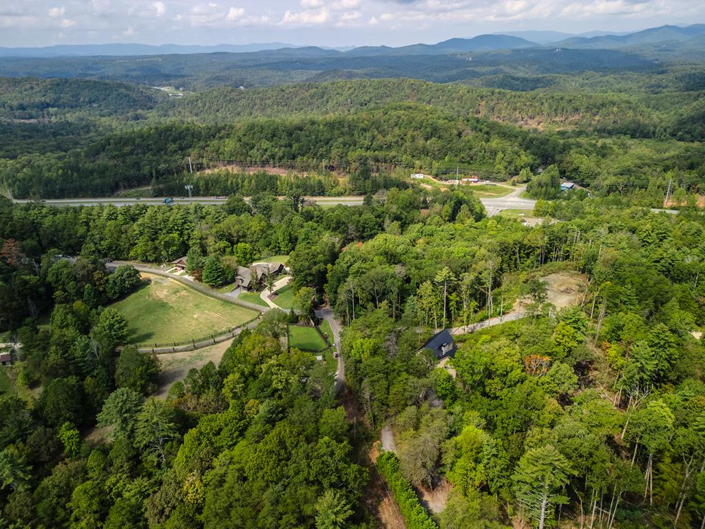 1 Old Northcutt Road Ellijay, GA 30540 - Photo 5 of 7 an aerial view of residential houses with outdoor space and trees