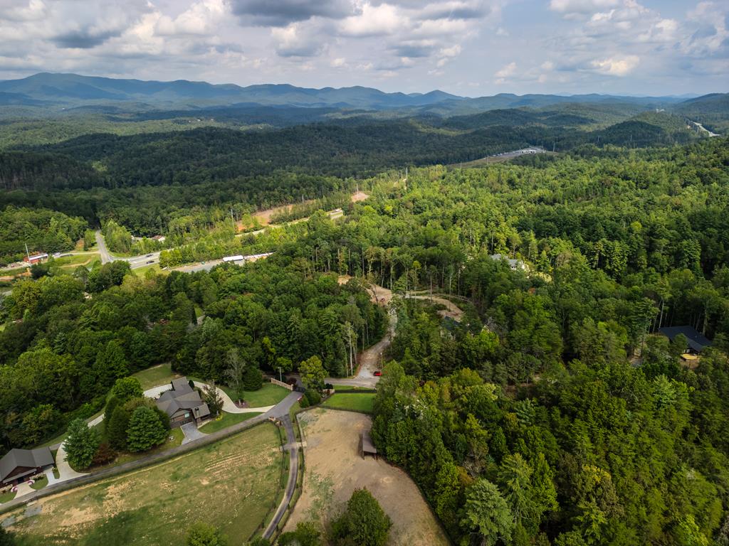 1 Old Northcutt Road Ellijay, GA 30540 - Photo 6 of 7 a view of a lush green forest with a house in the background
