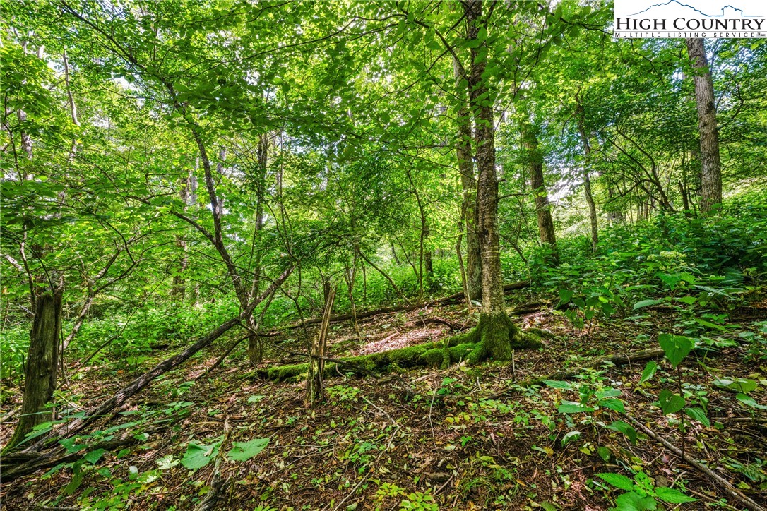 Lot 15 Boone Ridge Lane Boone, NC 28607 - Photo 11 of 16 a view of outdoor space and trees