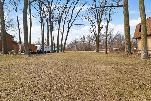 a view of dirt yard with a large tree