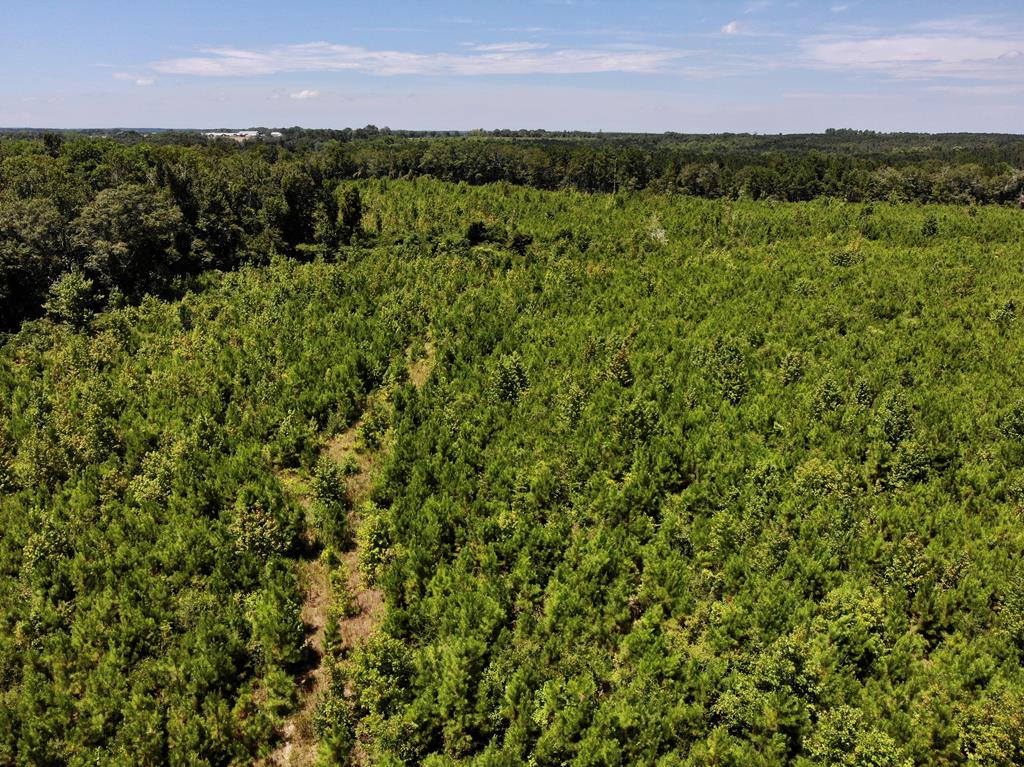 6-ac Old Elba Road Coffee Springs, AL 36318 - Photo 13 of 15