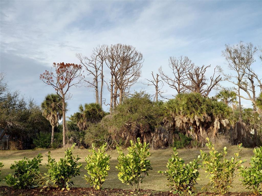 10071 Creekside Drive Placida, FL 33946 - Photo 14 of 16 a view of a yard