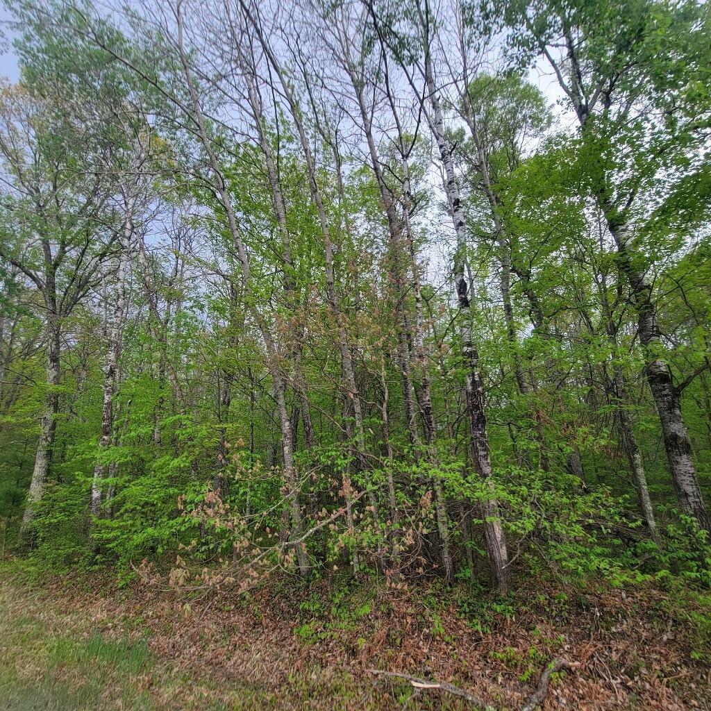 Lot 10 County Road A Spooner, WI 54801 - Photo 4 of 8