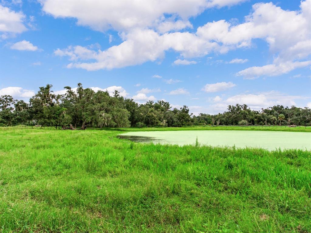 4402 McGee Road Plant City, FL 33565 - Photo 23 of 37 Gallery Image 23