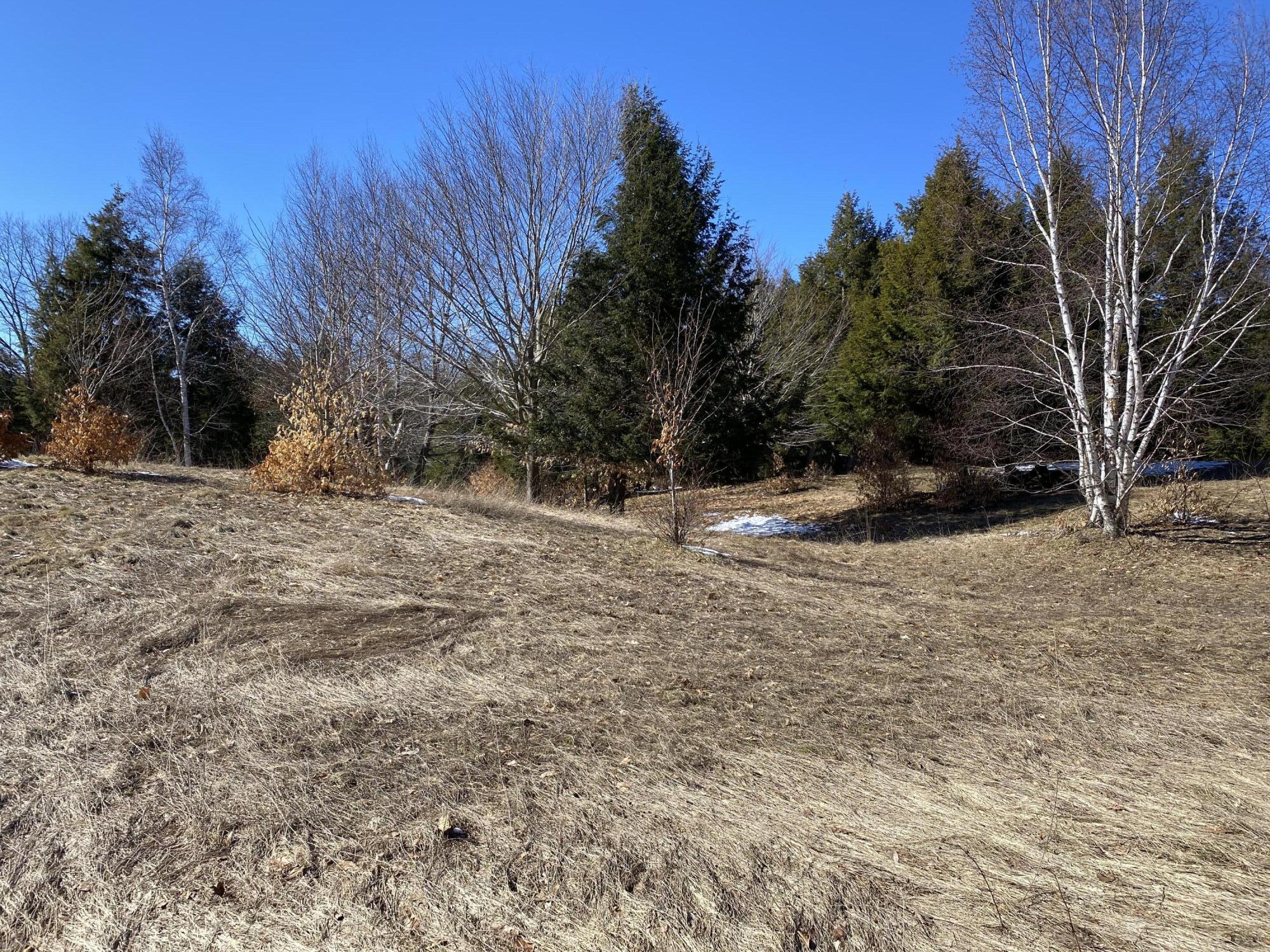 Celestial Ridge, Unit 31 Onekama, MI 49675 - Photo 11 of 14 IMG_1121