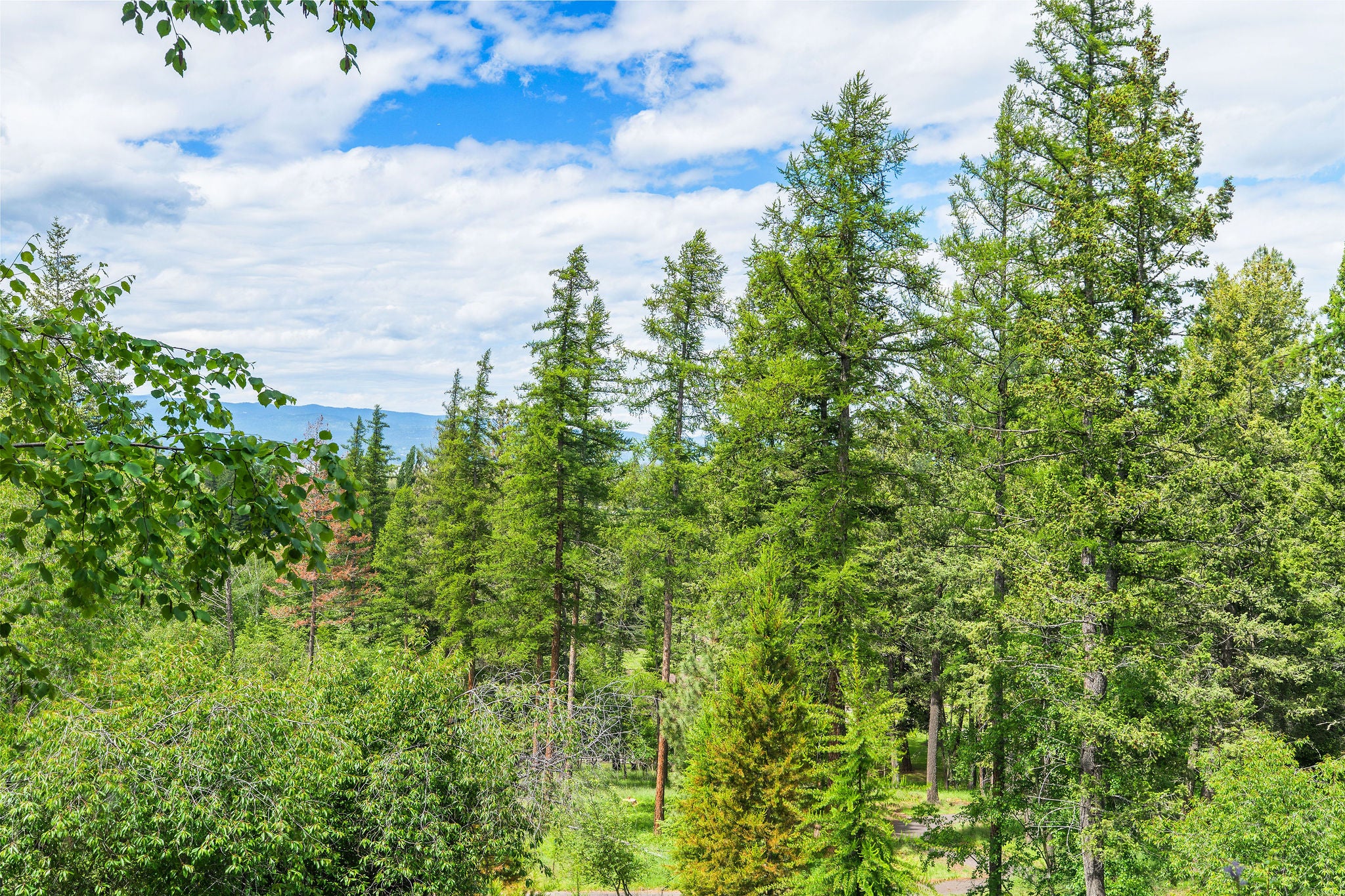 1161 Whispering Rock Road Bigfork, MT 59911 - Photo 61 of 81 Gallery Image 61