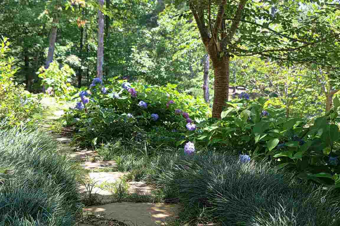 109 Hawthorn Way, Unit CT6 Sunset, SC 29685 - Photo 22 of 36 Gallery Image 22