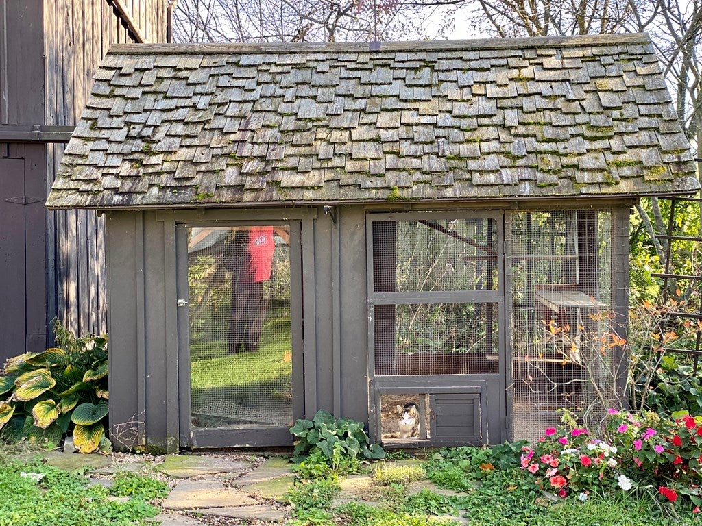 2111 Pennington Road Tyrone, PA 16686 - Photo 18 of 29 Chicken coop or garden shed