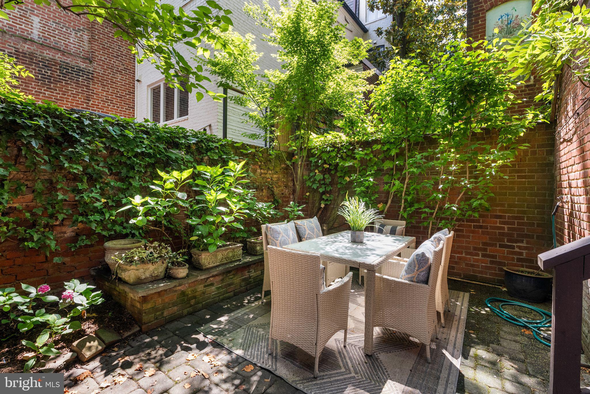 3066 Q Street Northwest Washington, DC 20007 - Photo 22 of 56 Patio Garden Area