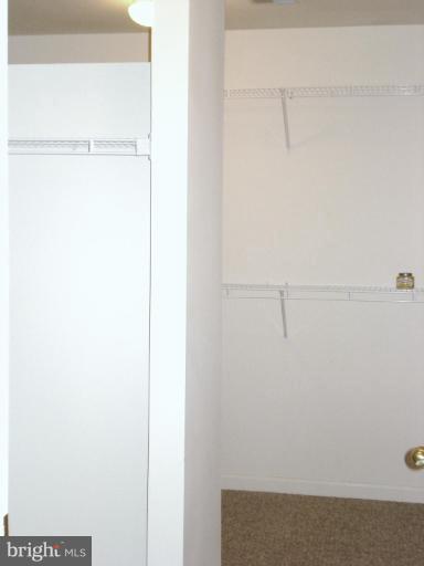 14211 Schaeffer Road Boyds, MD 20841 - Photo 16 of 21 Master BR Walk-In Double Wide Closet