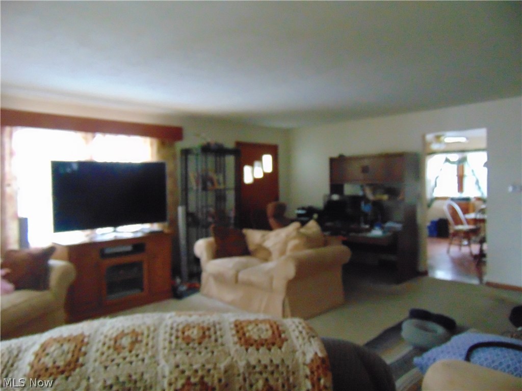 5276 North Ridge Road Madison, OH 44057 - Photo 9 of 20