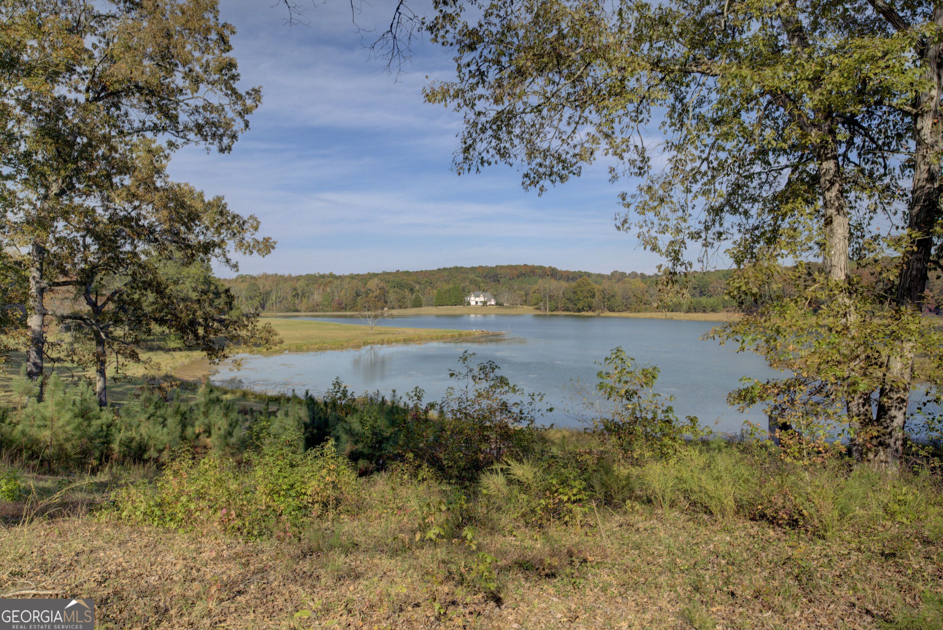 431 Abrams Road Southeast Silver Creek, GA 30173 - Photo 73 of 82