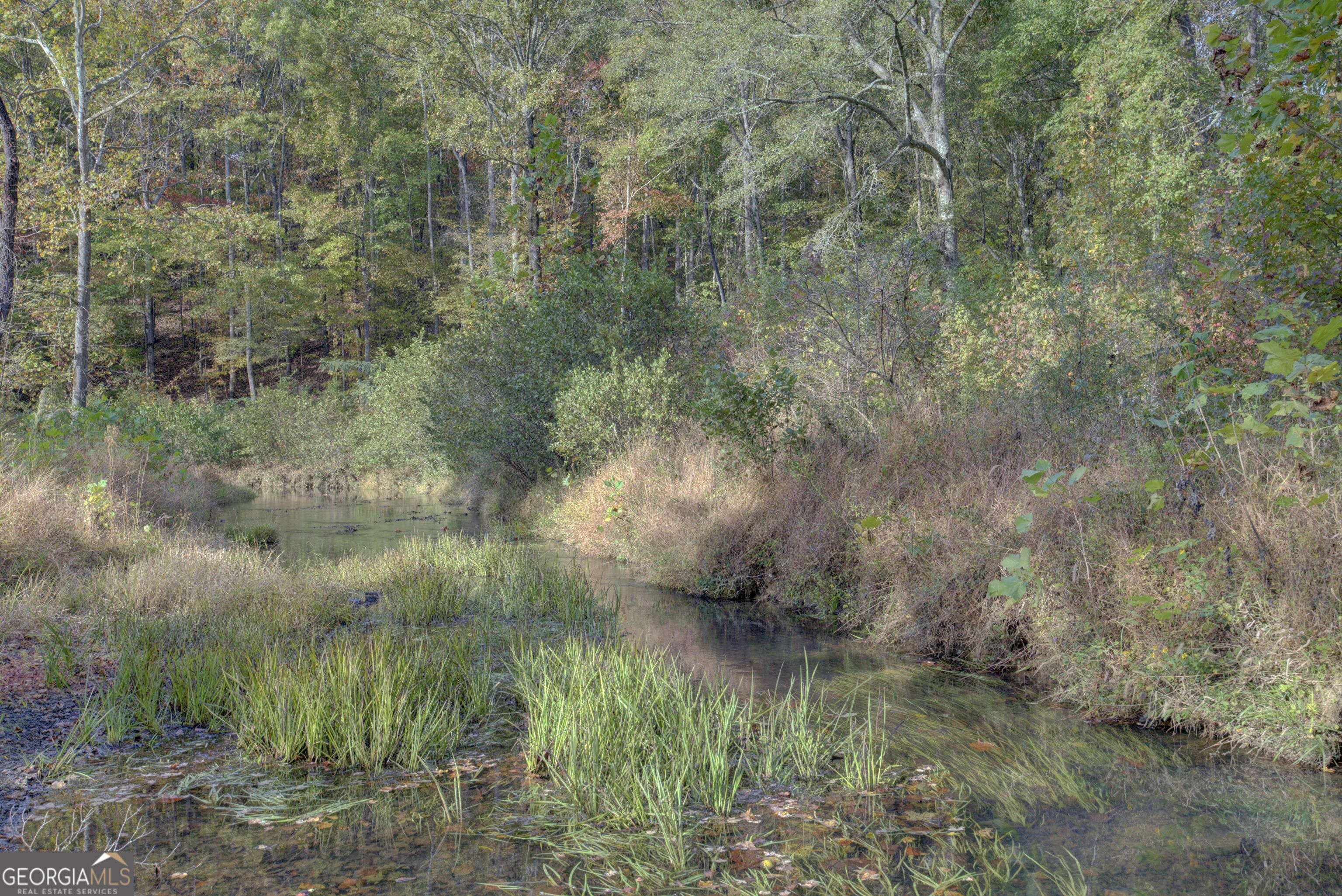 431 Abrams Road Southeast Silver Creek, GA 30173 - Photo 76 of 82