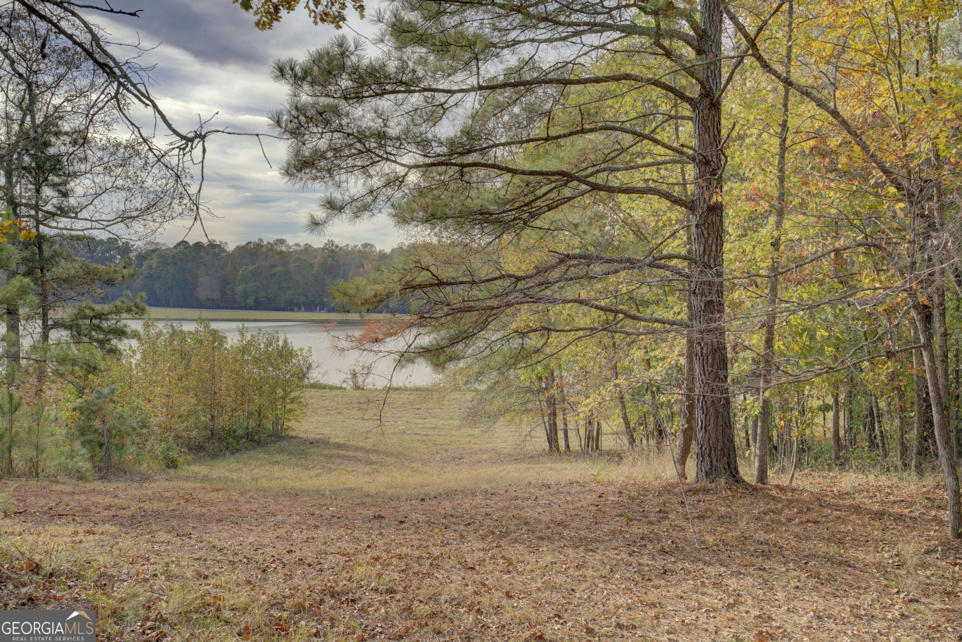 431 Abrams Road Southeast Silver Creek, GA 30173 - Photo 77 of 82