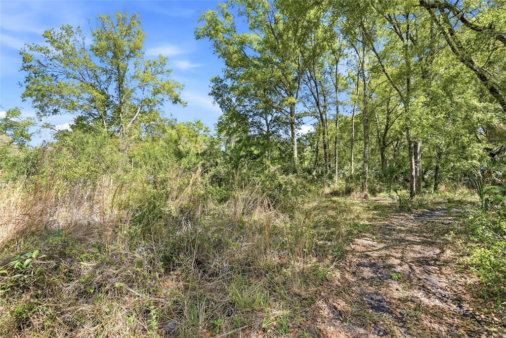 100 Fern Street New Port Richey, FL 34654 - Photo 11 of 32