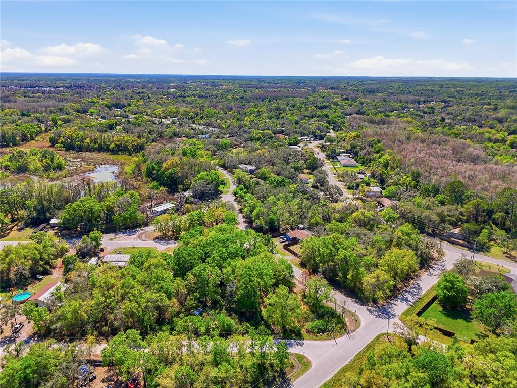 100 Fern Street New Port Richey, FL 34654 - Photo 12 of 32