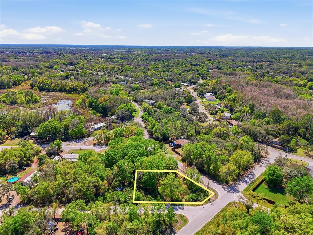 100 Fern Street New Port Richey, FL 34654 - Photo 13 of 32