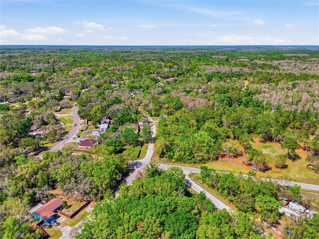 100 Fern Street New Port Richey, FL 34654 - Photo 14 of 32