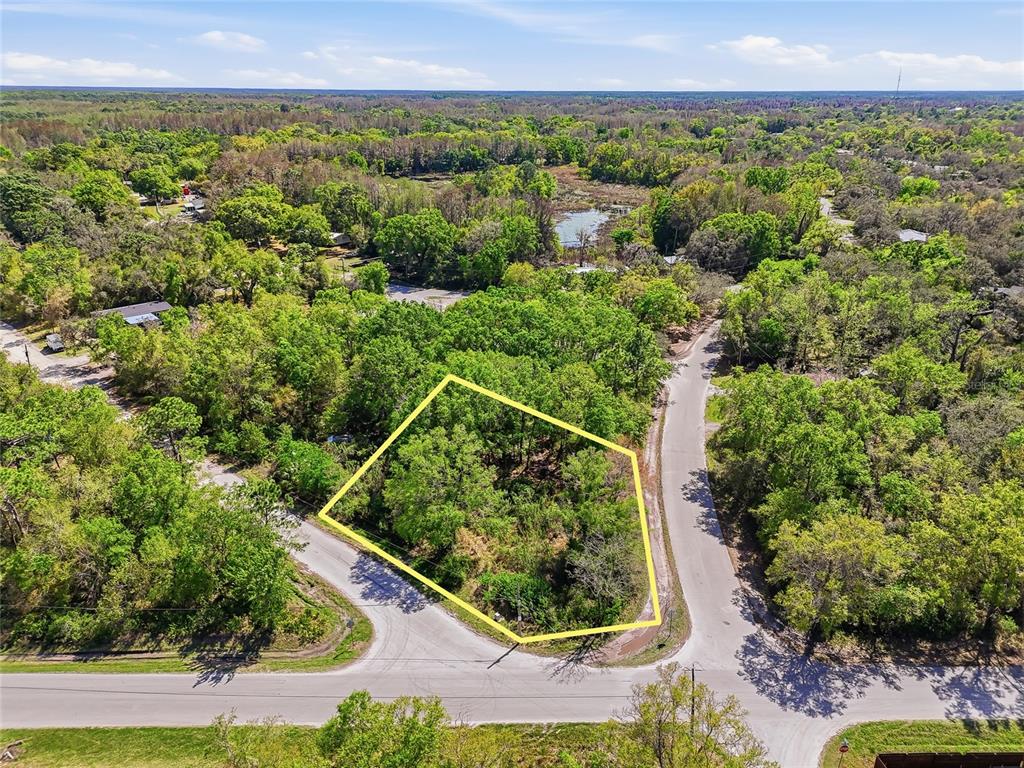 100 Fern Street New Port Richey, FL 34654 - Photo 15 of 32