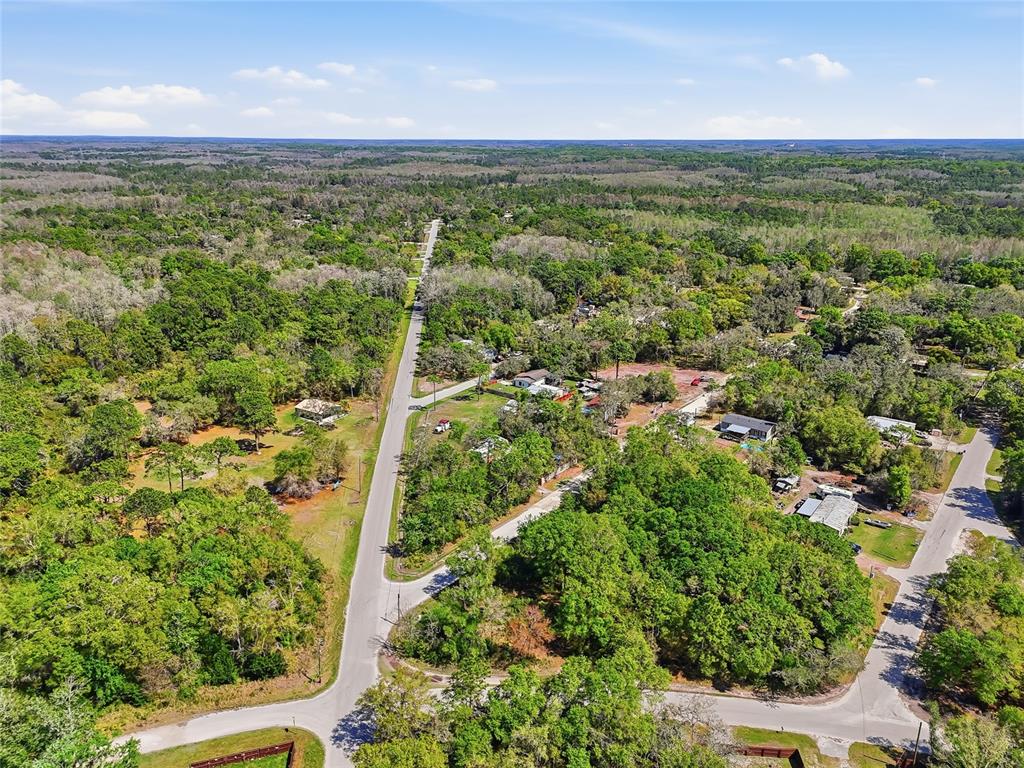 100 Fern Street New Port Richey, FL 34654 - Photo 16 of 32