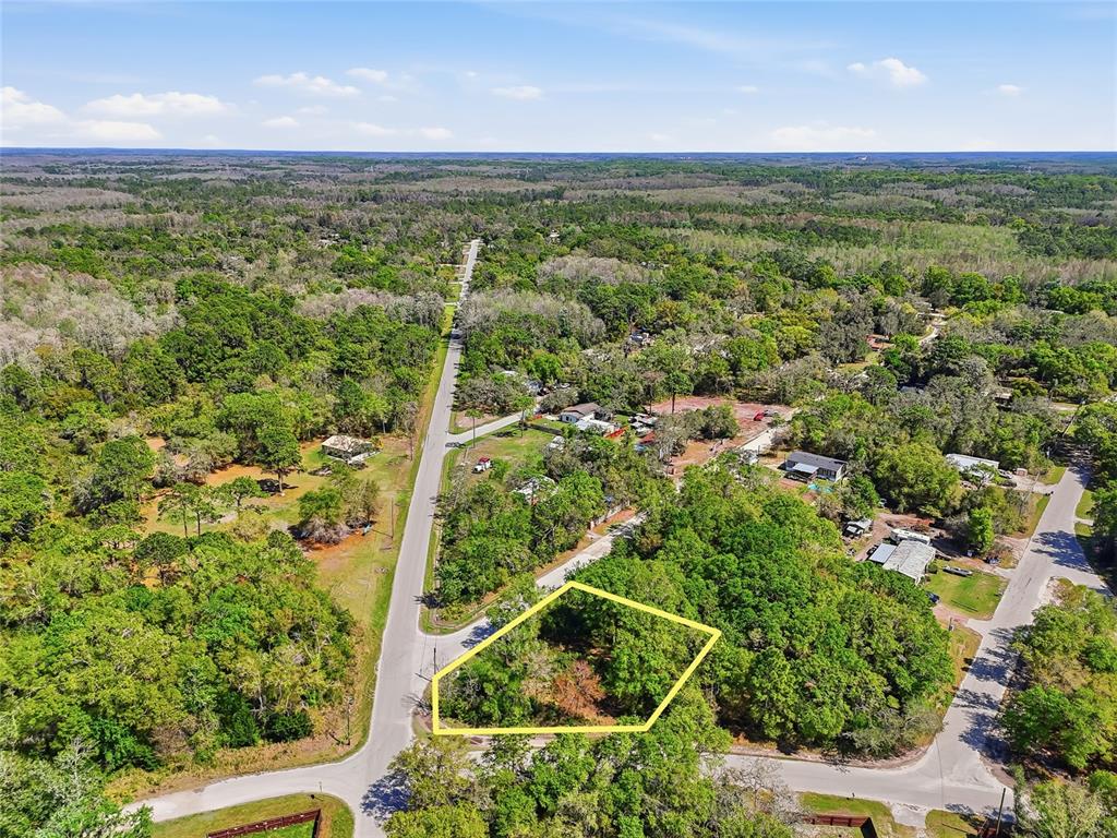 100 Fern Street New Port Richey, FL 34654 - Photo 17 of 32