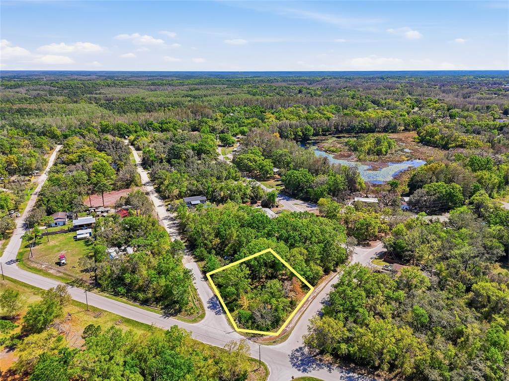 100 Fern Street New Port Richey, FL 34654 - Photo 19 of 32